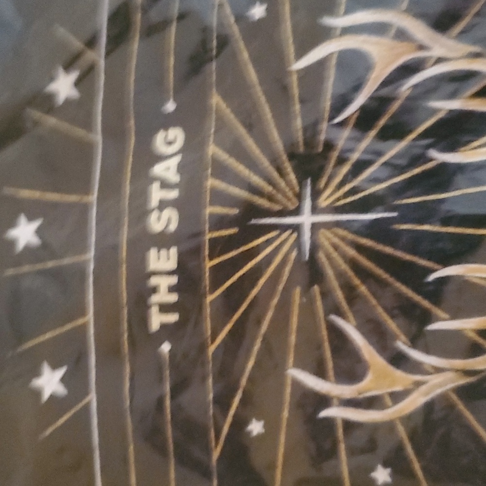 NWT Womans Jagermeister Stag Short Sleeve V-Neck T-Shirt - Picture 6 of 6
